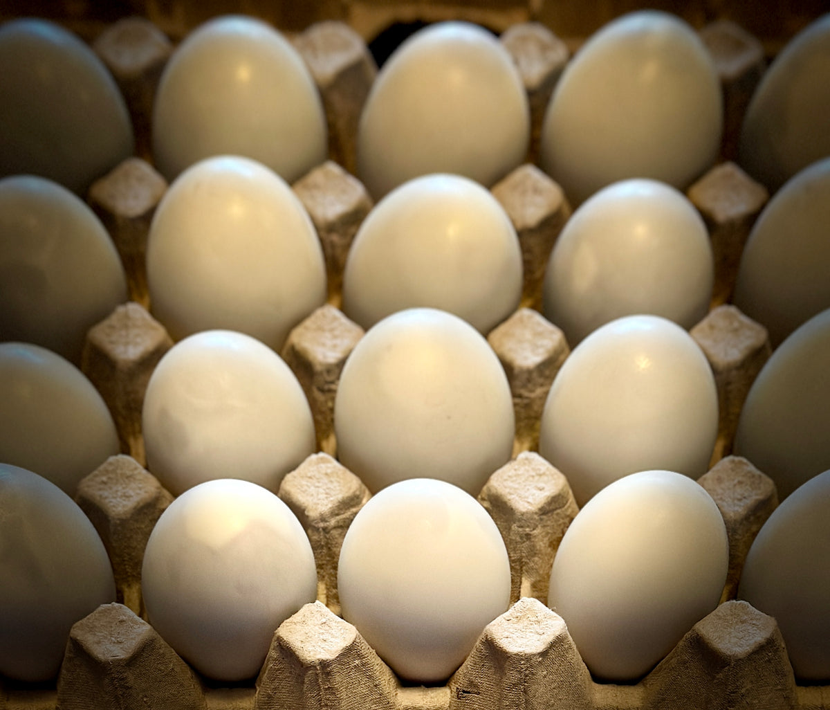A close-up view of balut or ballet arranged in a brown paper carton tray, with shallow depth of field focusing on the front eggs.